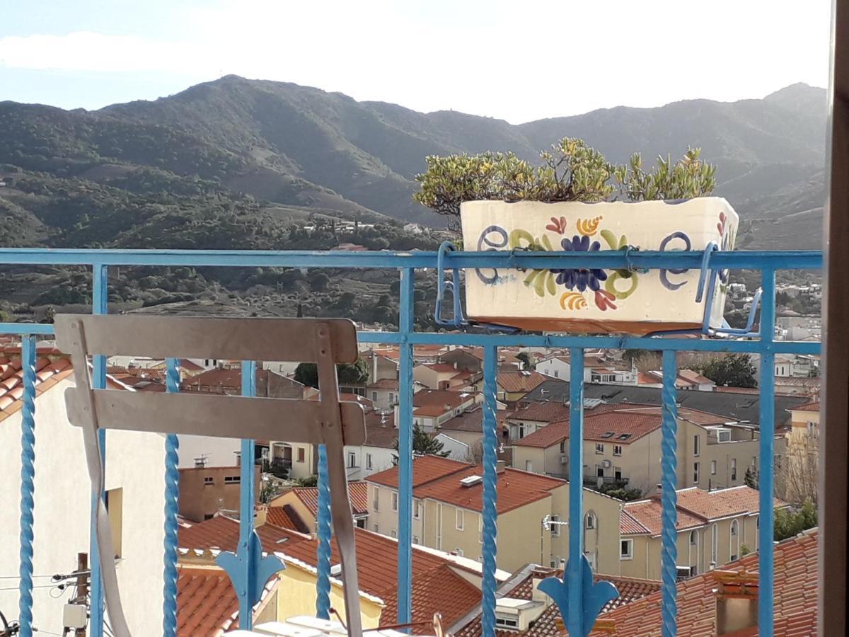 Banyuls La Grande Bleue : Studio T1 Bagian luar foto