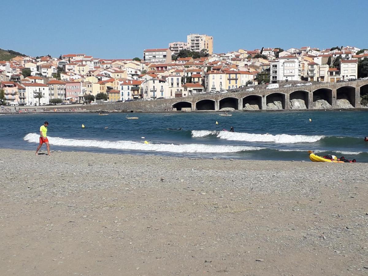 Banyuls La Grande Bleue : Studio T1 Bagian luar foto