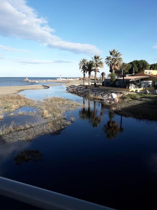 Banyuls La Grande Bleue : Studio T1 Bagian luar foto