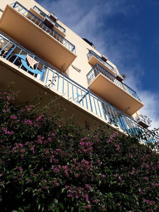 Banyuls La Grande Bleue : Studio T1 Bagian luar foto