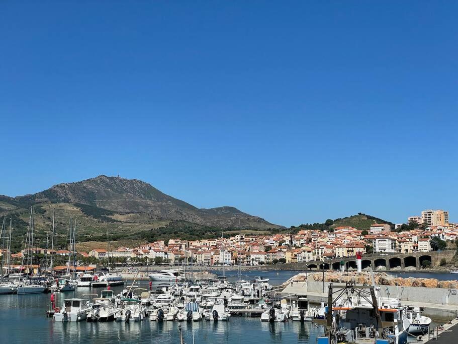 Banyuls La Grande Bleue : Studio T1 Bagian luar foto